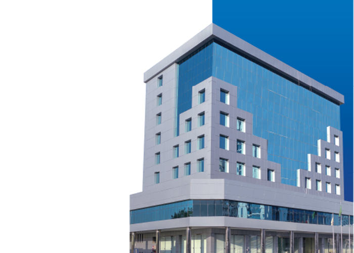 Vision Tower